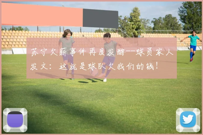 苏宁欠薪事件再度发酵--球员家人发文：这就是球队欠我们的钱！