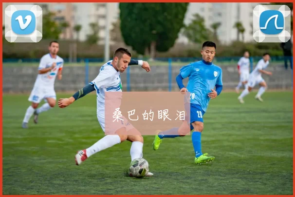 桑巴的眼泪