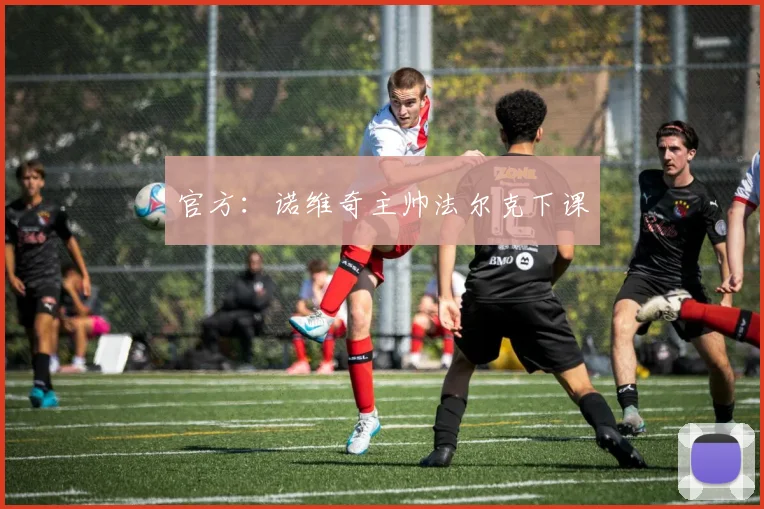 官方：诺维奇主帅法尔克下课